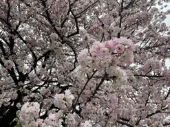 IS設備株式会社　紹介③　鈴木