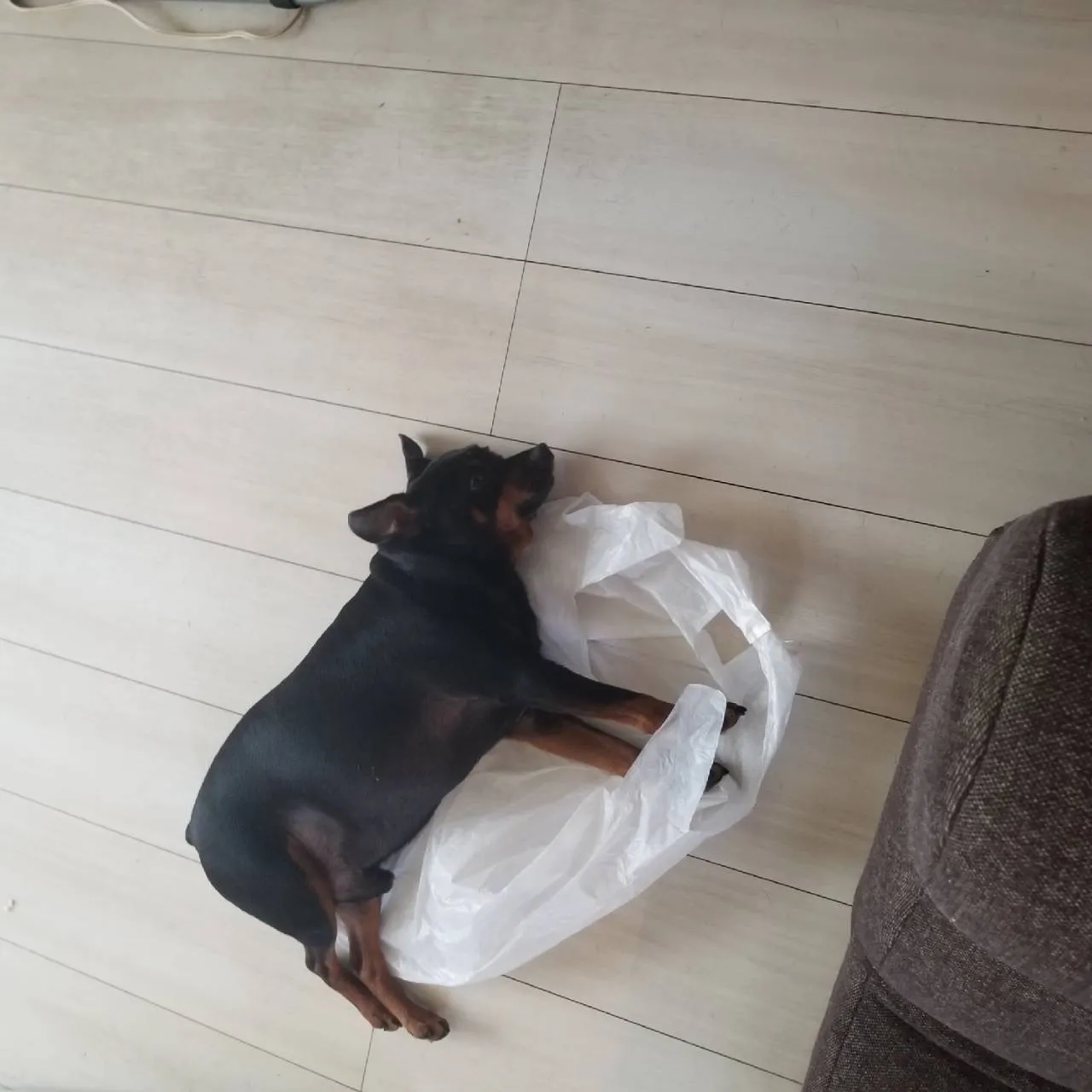 IS設備株式会社　紹介⑦　協力業者阿部設備